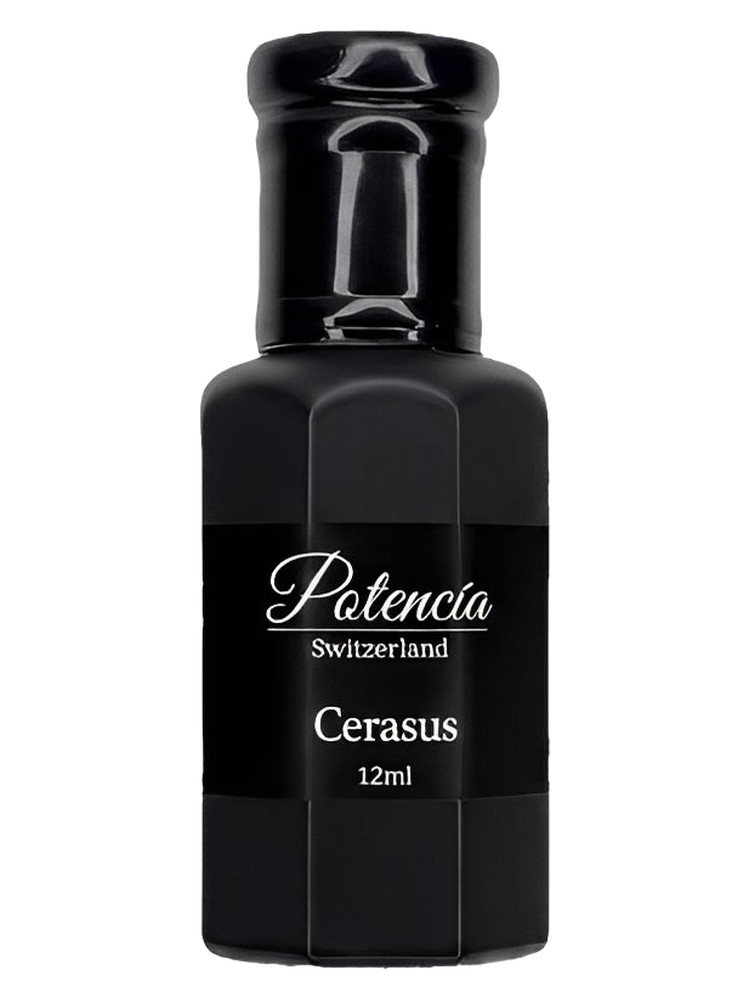 Cerasus