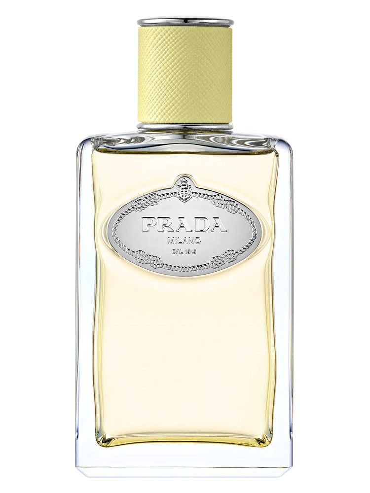 Infusion de Gingembre