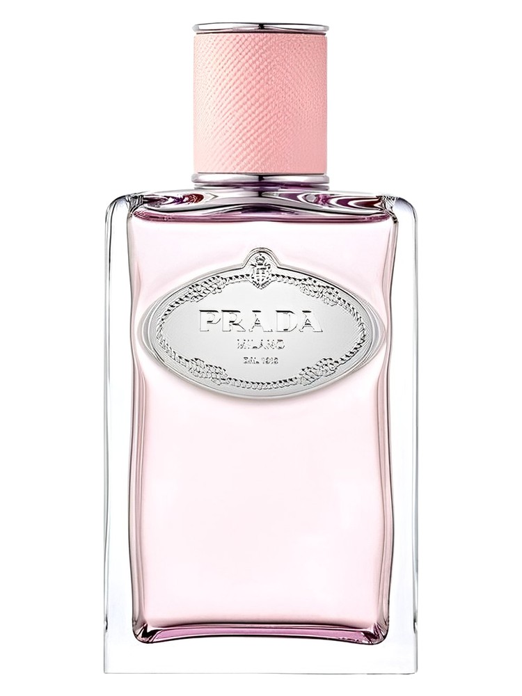 Infusion de Rose (2017)