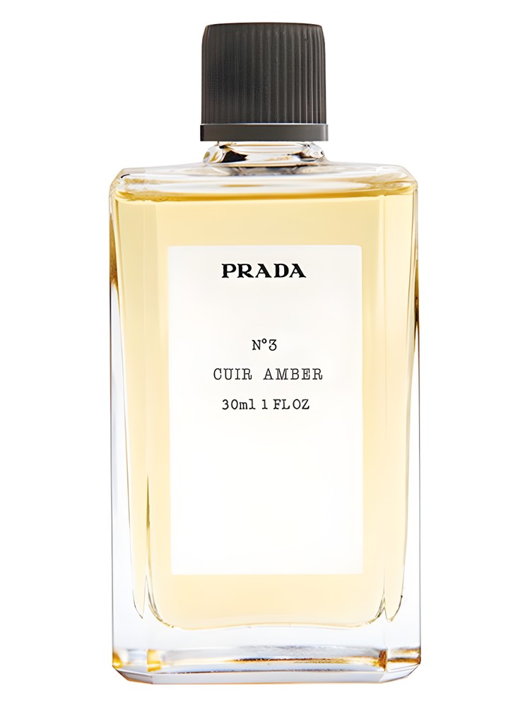 No3 Cuir Amber