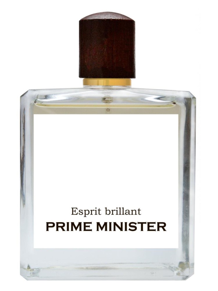 Esprit brillant