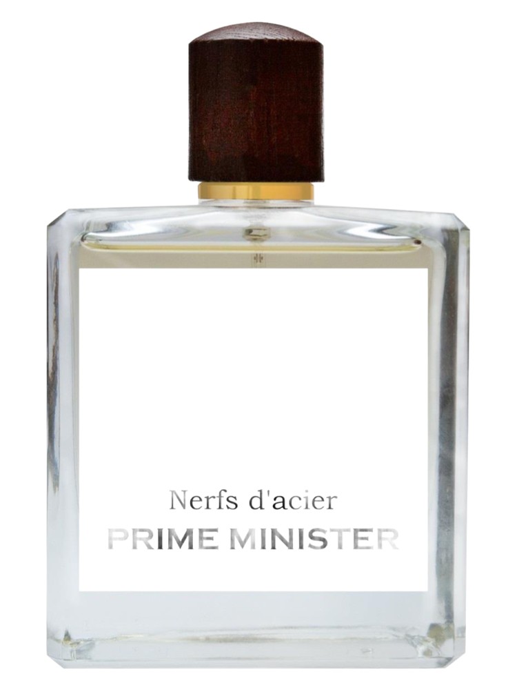 Nerfs d'acier
