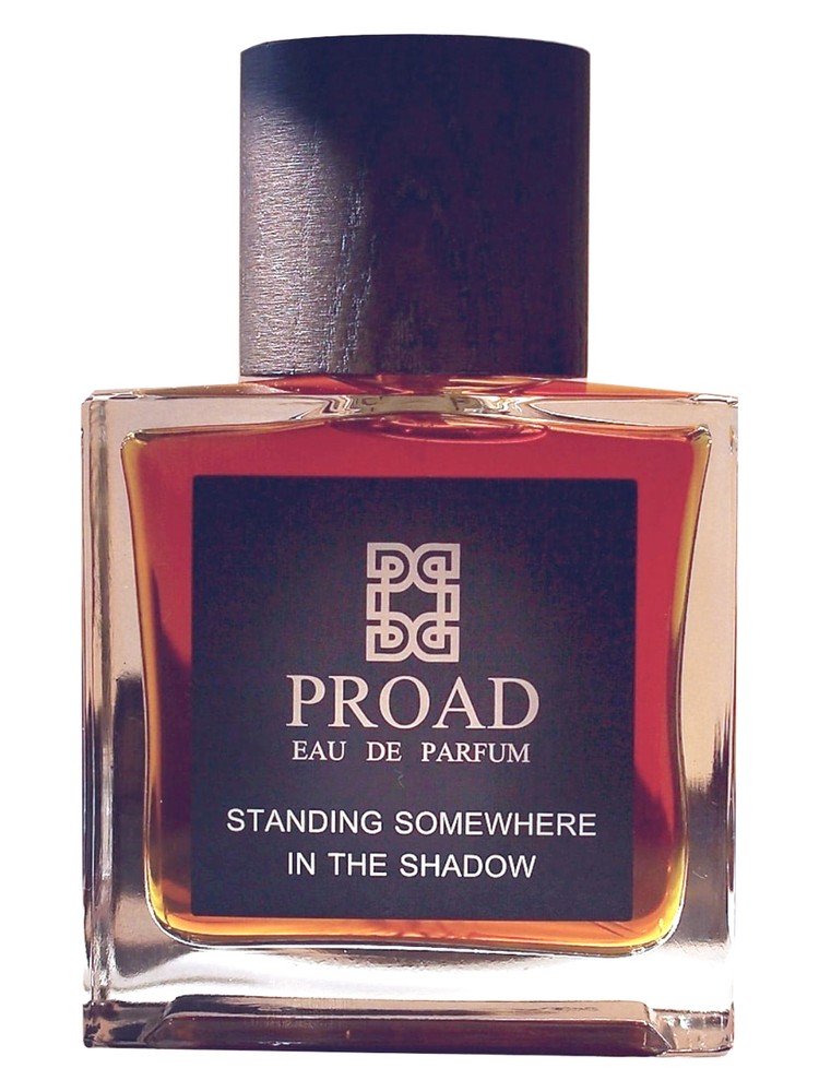 Standing Somewhere In The Shadow