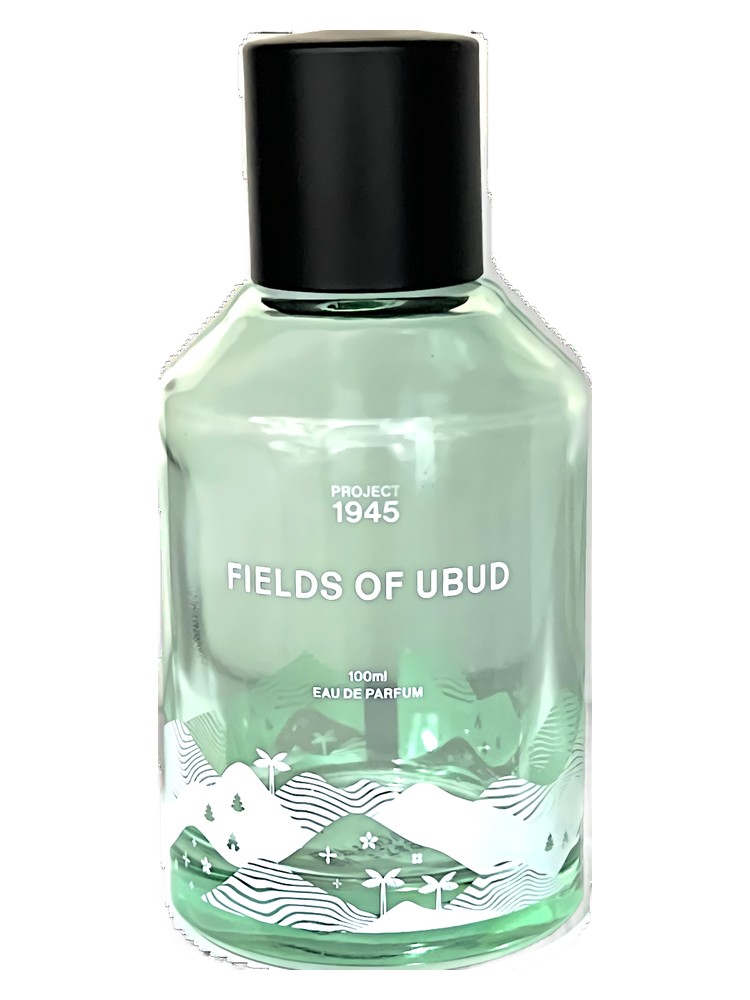 Fields of Ubud