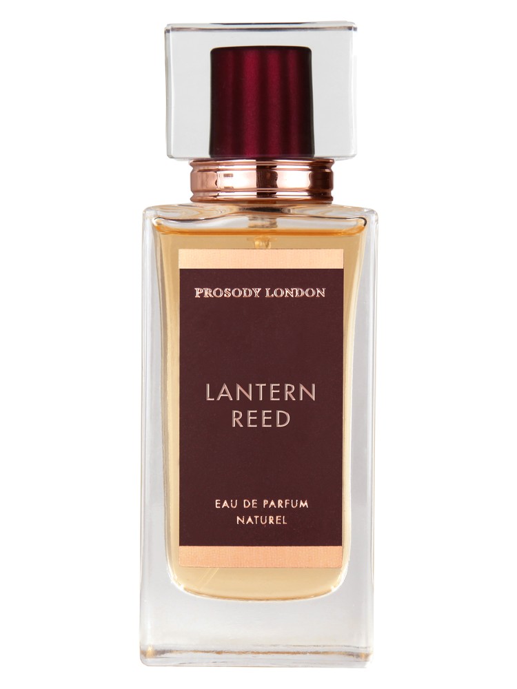 Lantern Reed