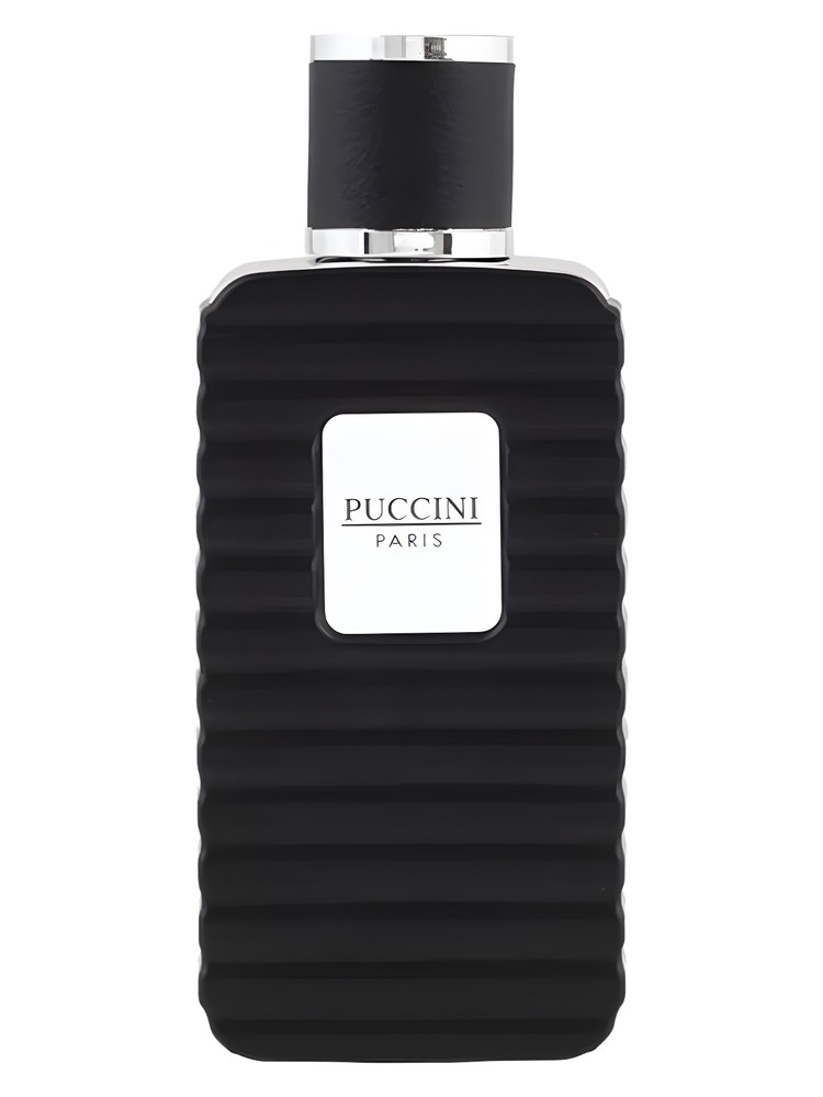Puccini Men Black