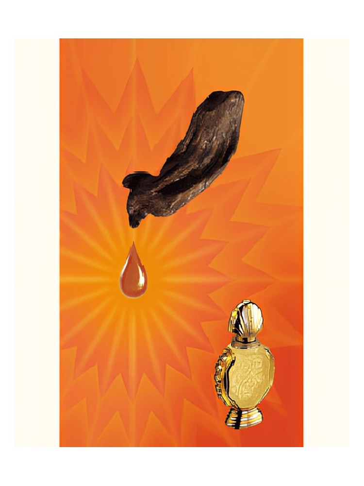 Shatha Al Oudh