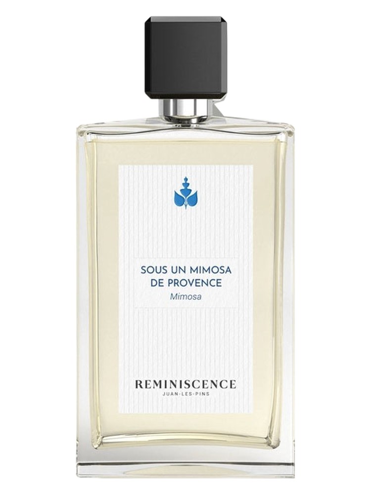 Sous un Mimosa de Provence