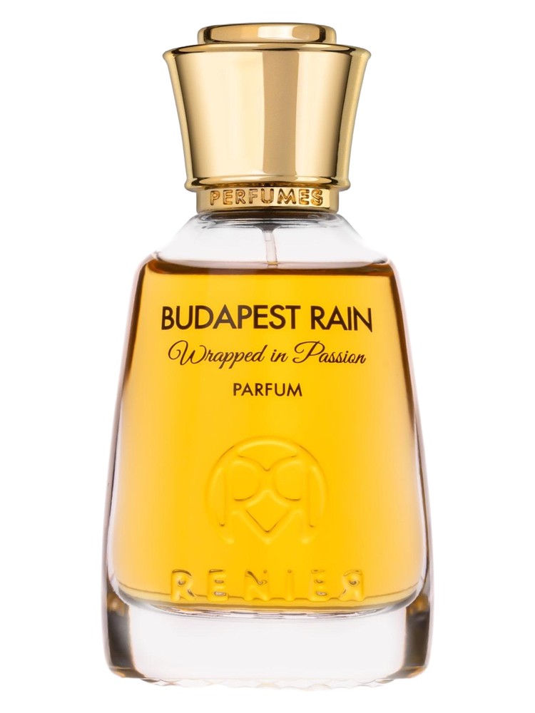 Budapest Rain