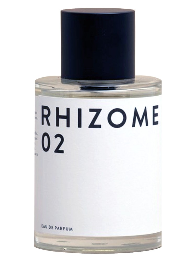 Rhizome 02