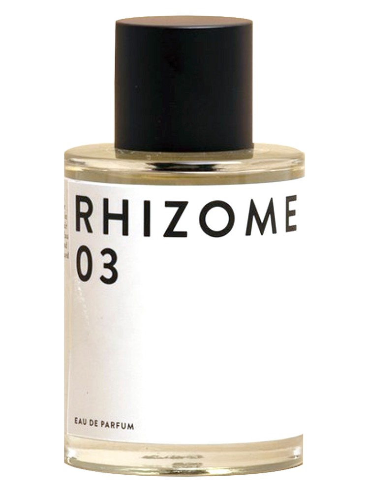 Rhizome 03