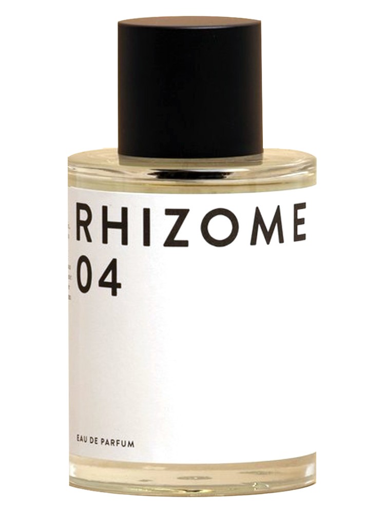 Rhizome 04