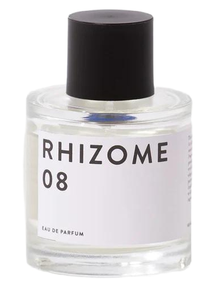 Rhizome 08