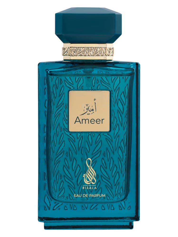 Ameer