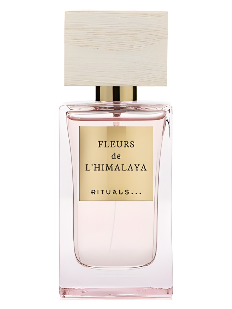 Fleurs de L'Himalaya