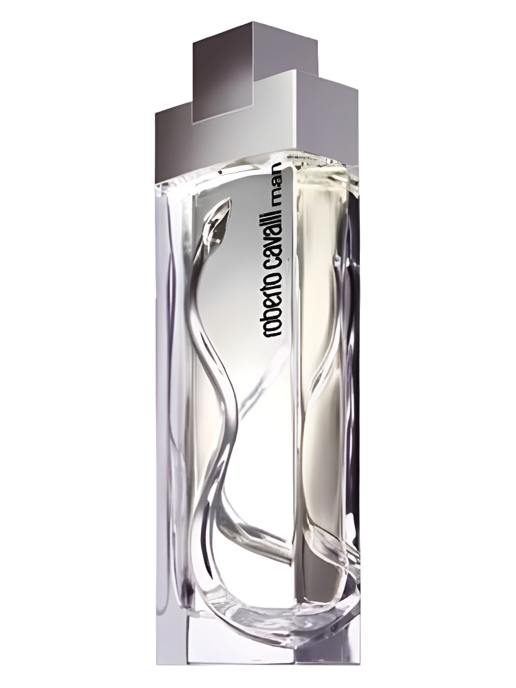Roberto Cavalli Man