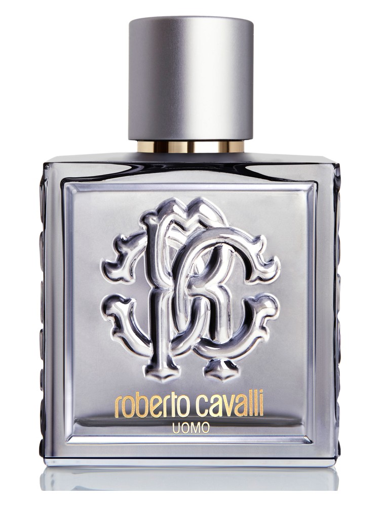 Roberto Cavalli Uomo Silver Essence