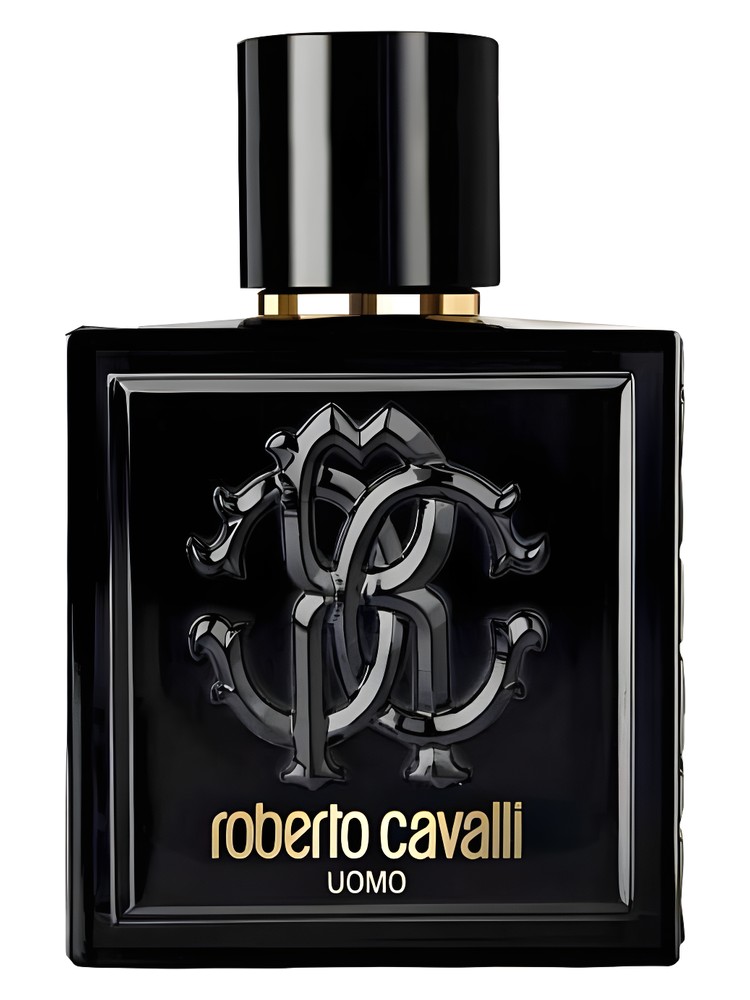 Roberto Cavalli Uomo