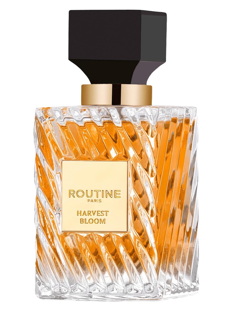 Harvest Bloom