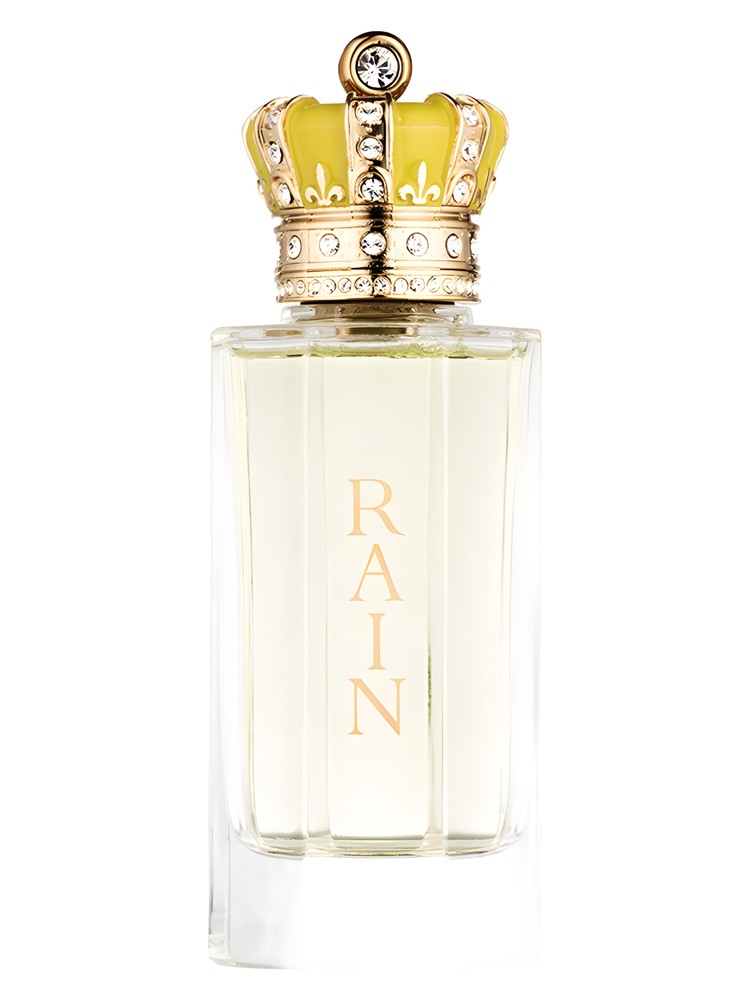 Rain