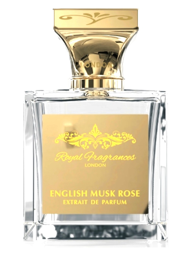English Musk Rose