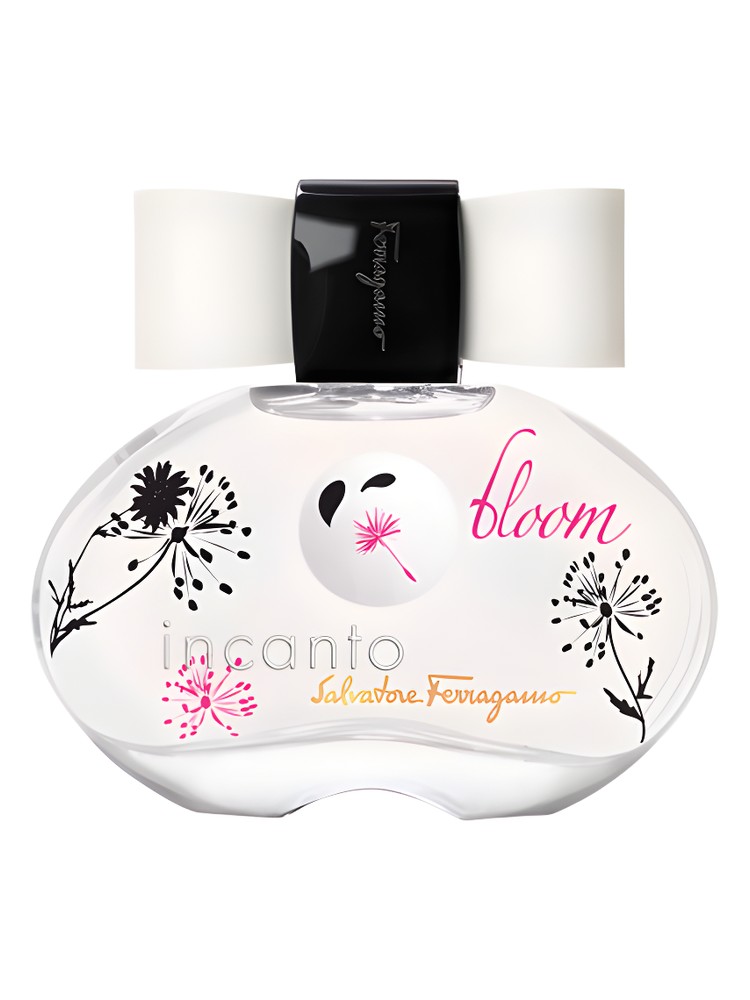 Incanto Bloom