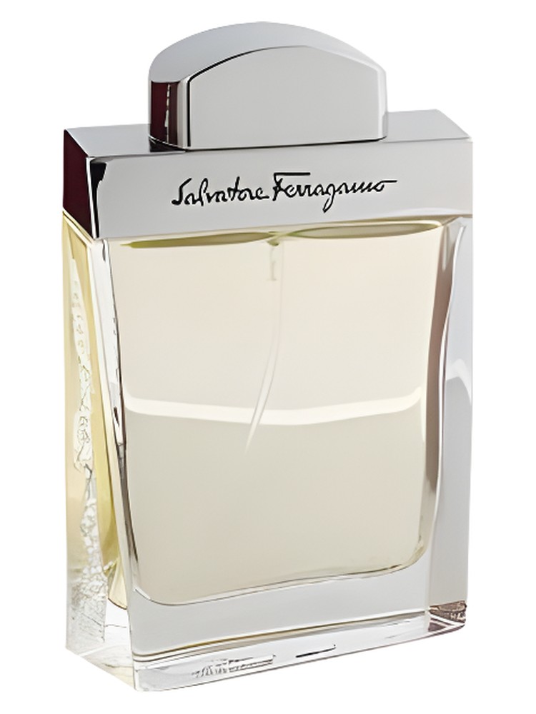 Salvatore Ferragamo Pour Homme