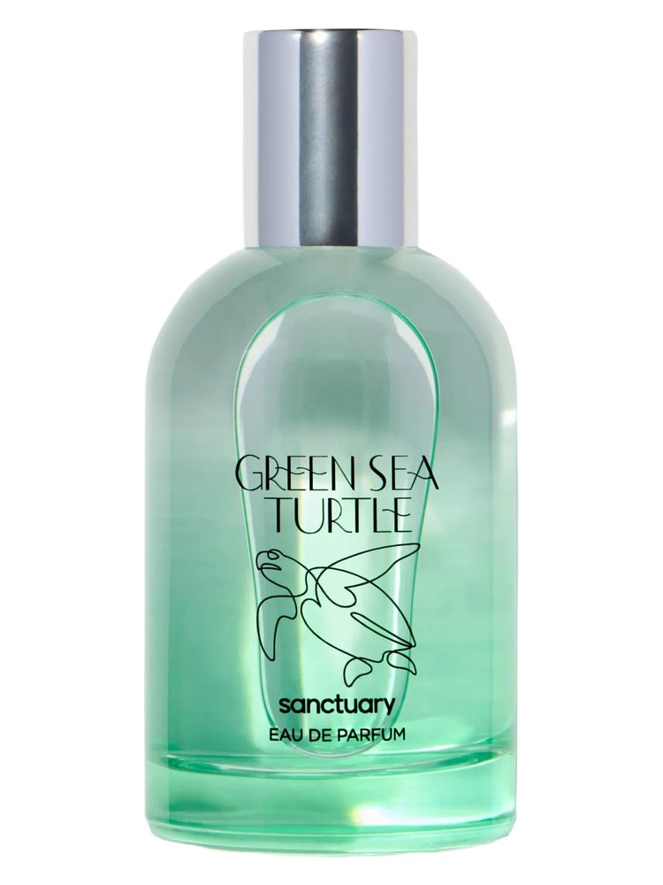 Green Sea Turtle