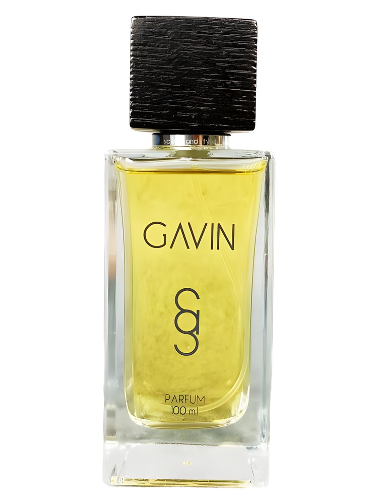 Gavin