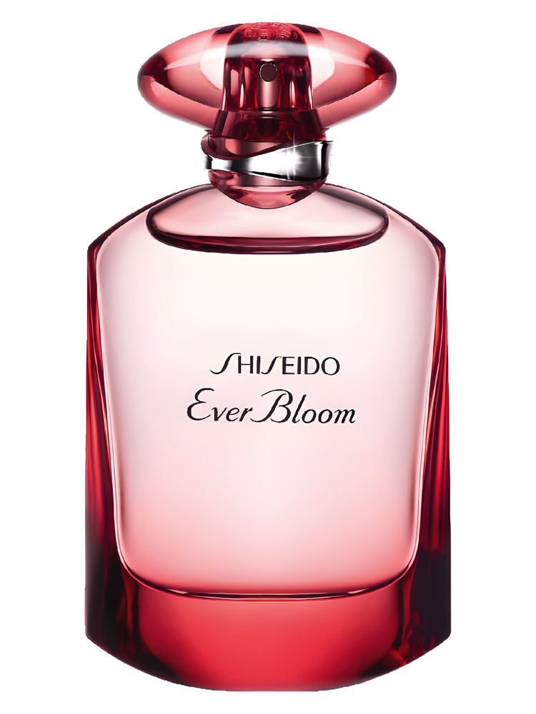 Ever Bloom Ginza Flower