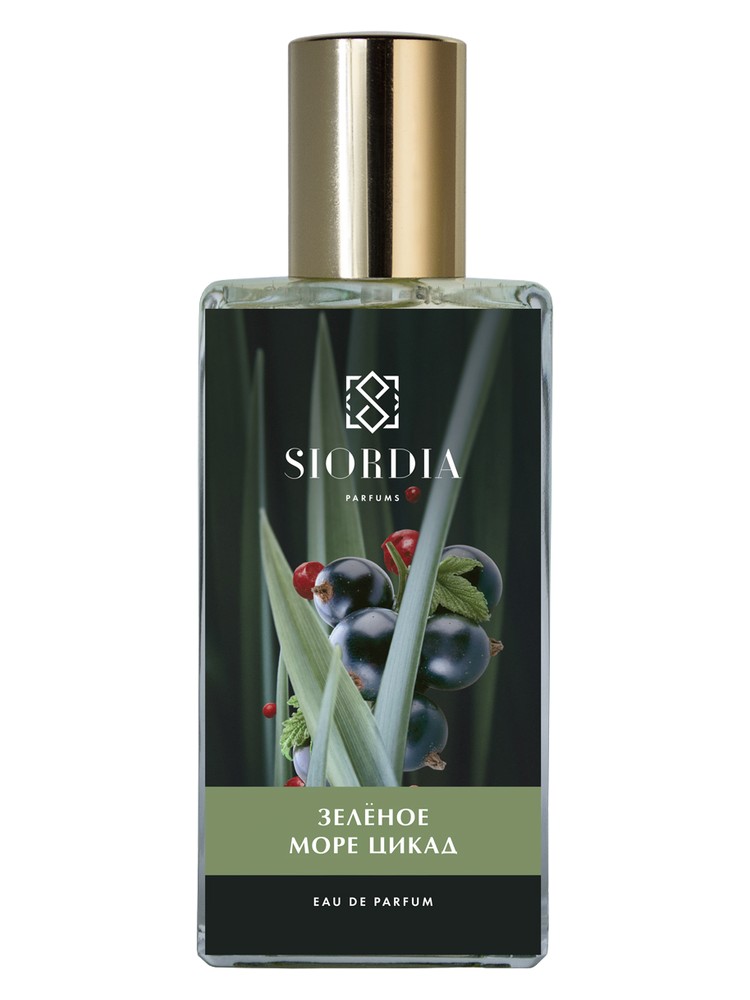 The Green Sea of Сicadas (Зеленое Море Цикад)