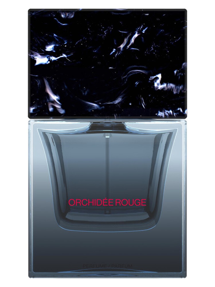 Orchidée Rouge
