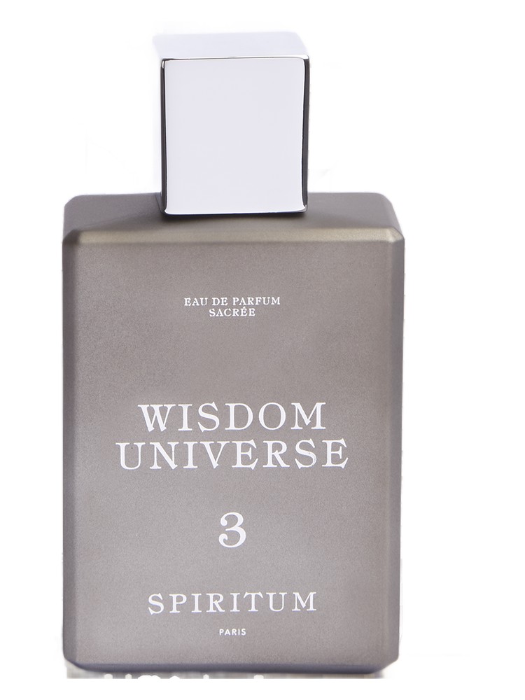 3 Wisdom Universe