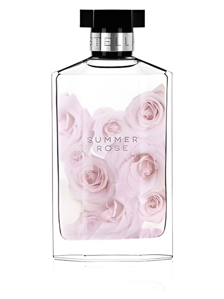 Stella Summer Rose