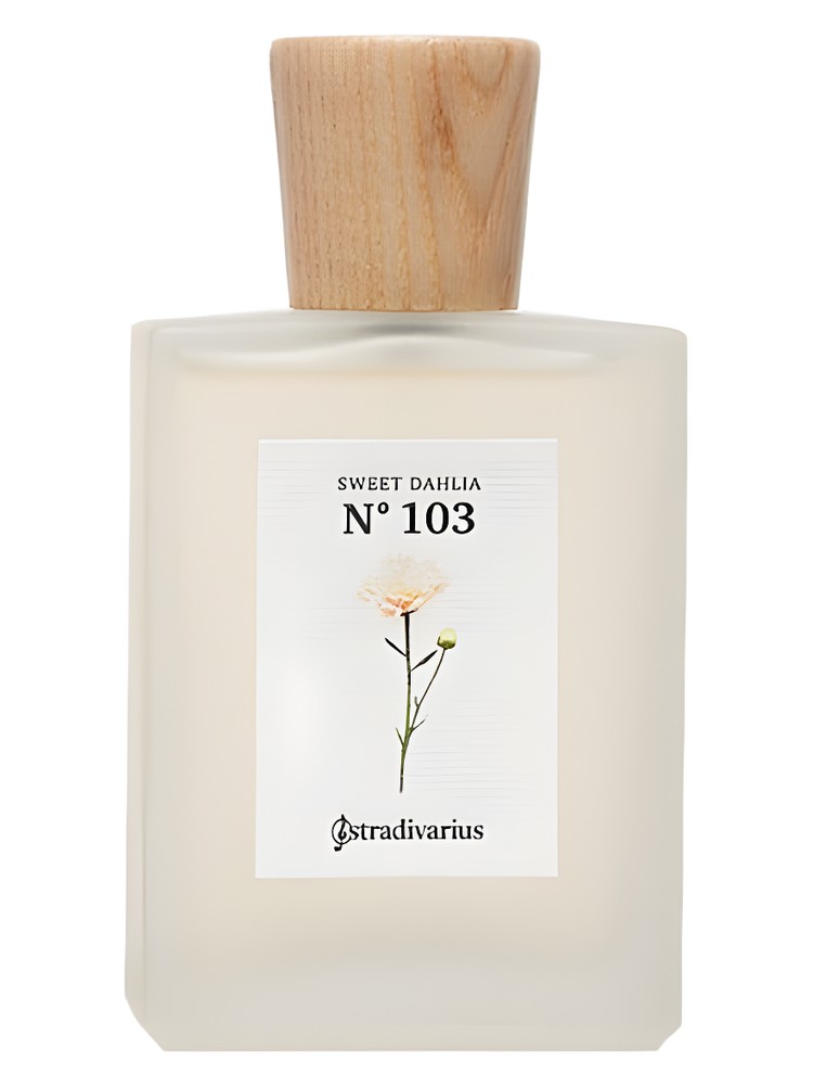 N° 103 Sweet Dahlia