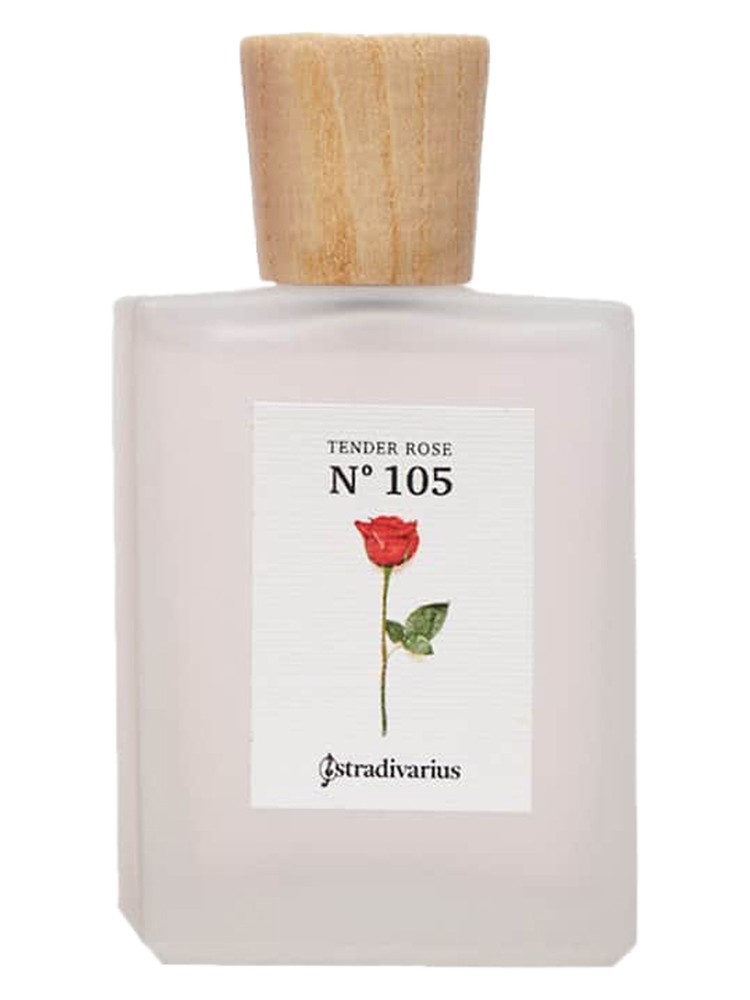 N° 105 Tender Rose