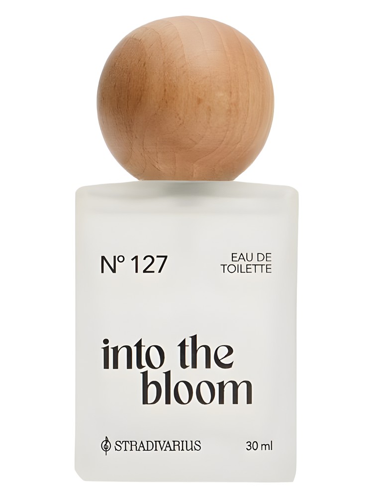 Nᵒ127 Into the Bloom