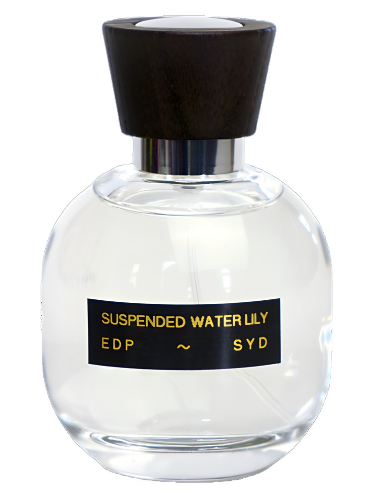 Suspended Water Lily