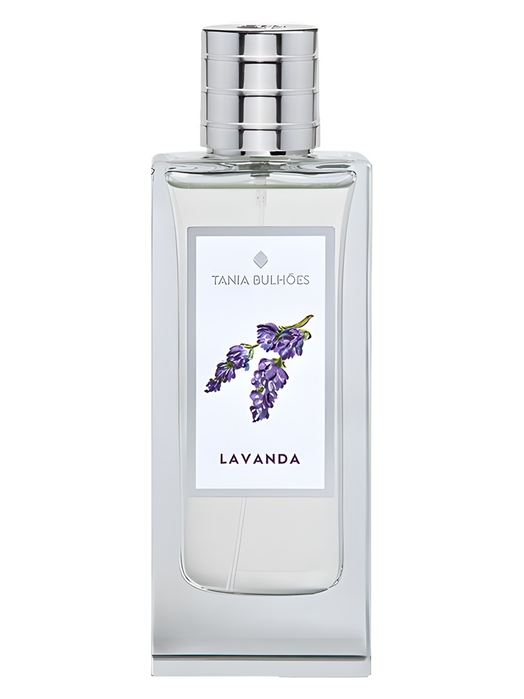 Lavanda
