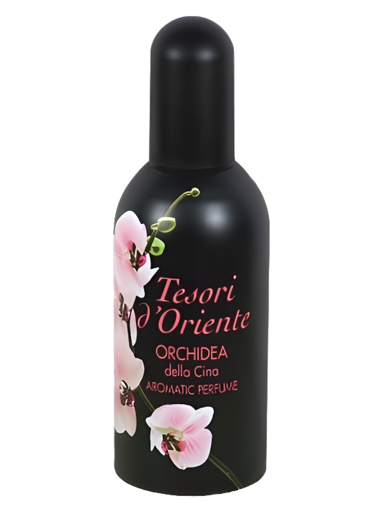 Orchidea della Cina