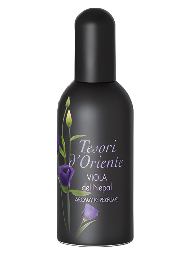 Viola del Nepal