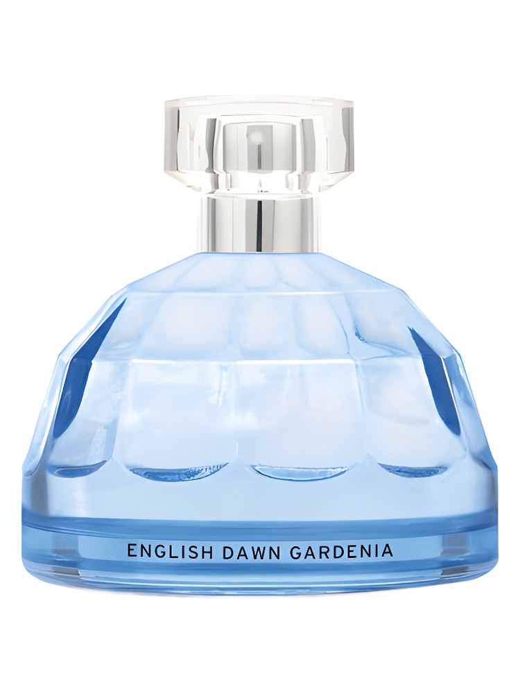 English Dawn White Gardenia
