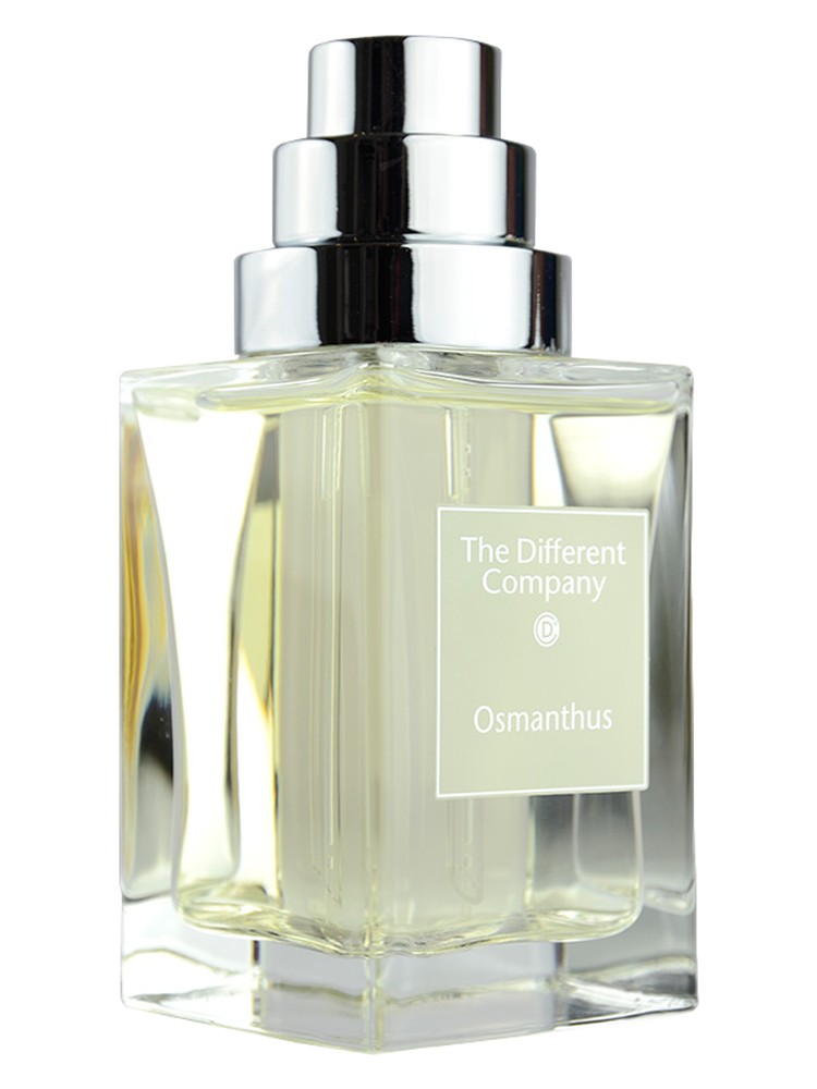 Osmanthus
