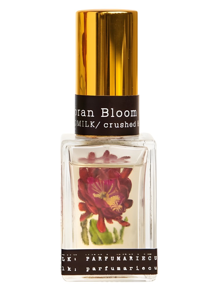 Sonoran Bloom