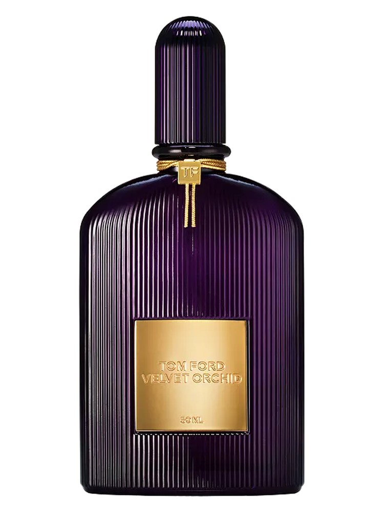 Velvet Orchid