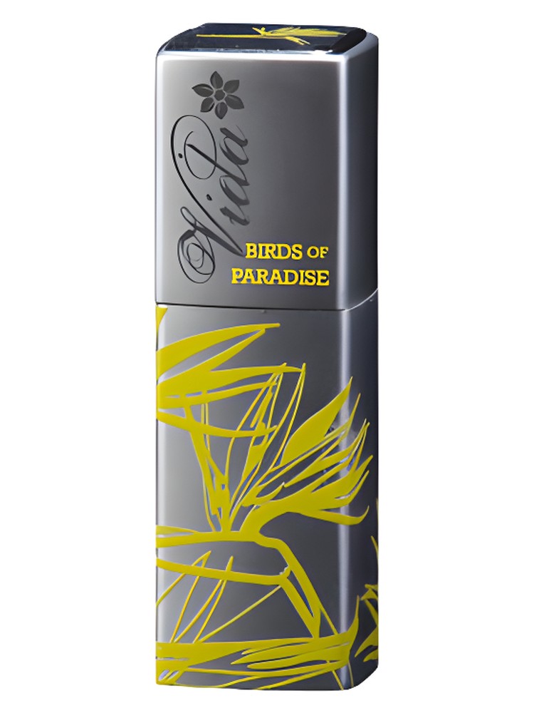 Vida Birds of Paradise