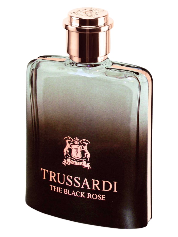 The Black Rose