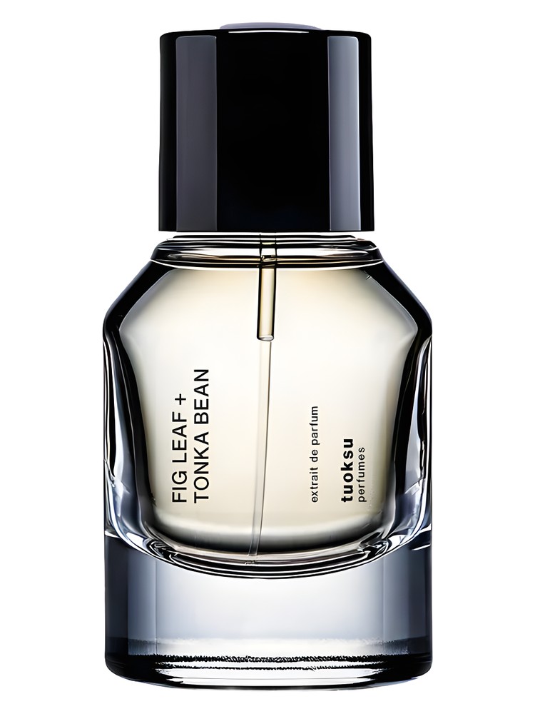 Fig Leaf + Tonka Bean