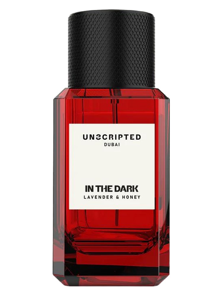 In The Dark