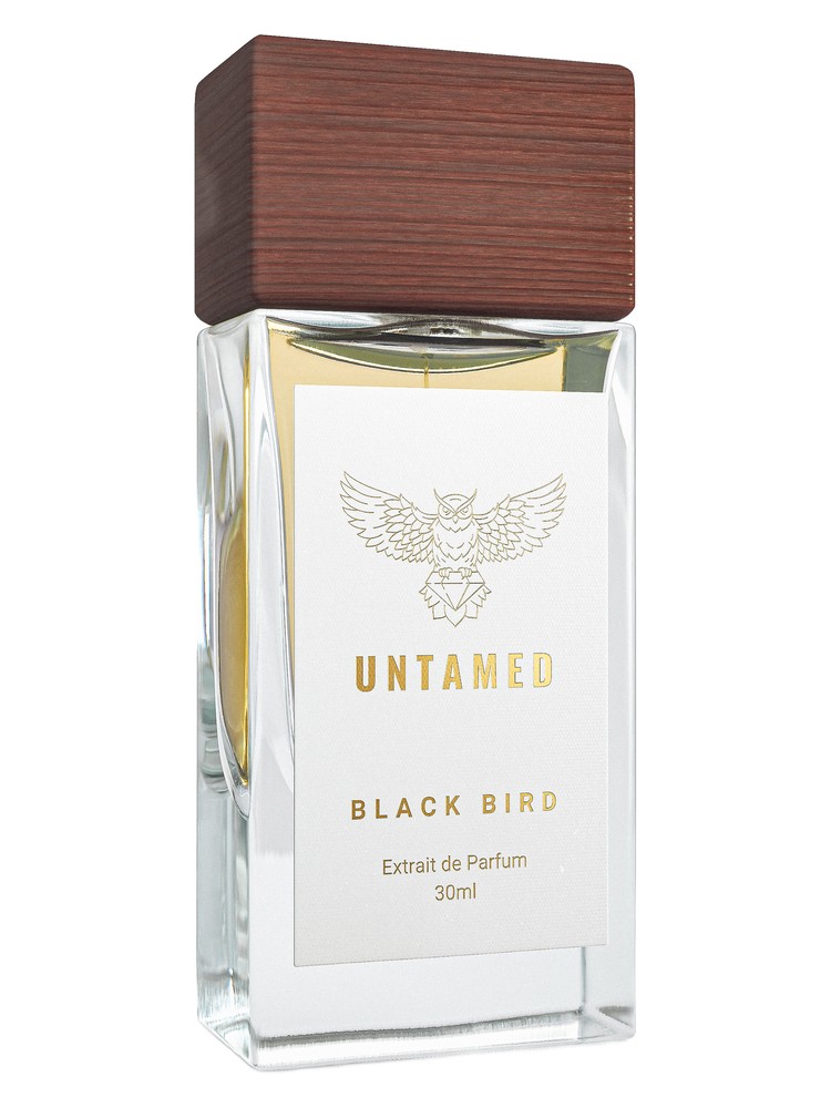 Black Bird